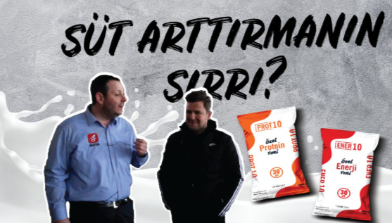 Çiftlikte Günlük 200 Kg Süt Artışı!