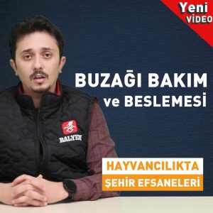 Seri Devam Ediyor